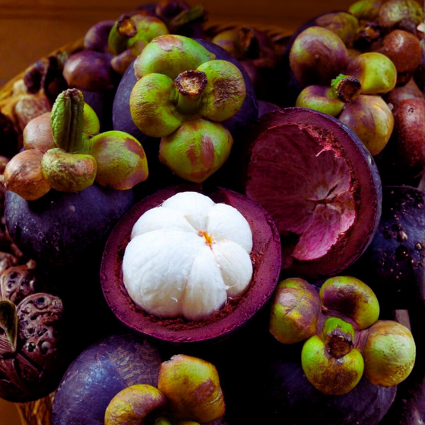 fresh Mangostane