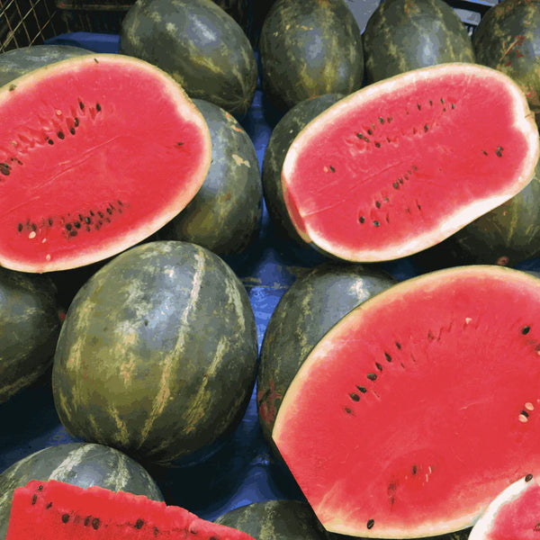 ORGANIC WATERMELON