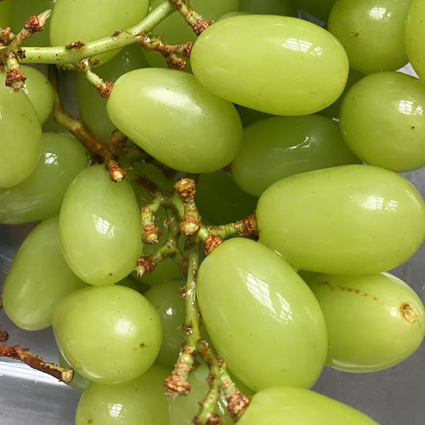 Seasonal fresh fruit photos list.