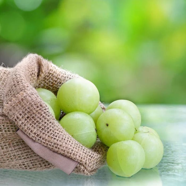 Fresh Amla (Indian Gooseberry) – Nature’s Superfruit