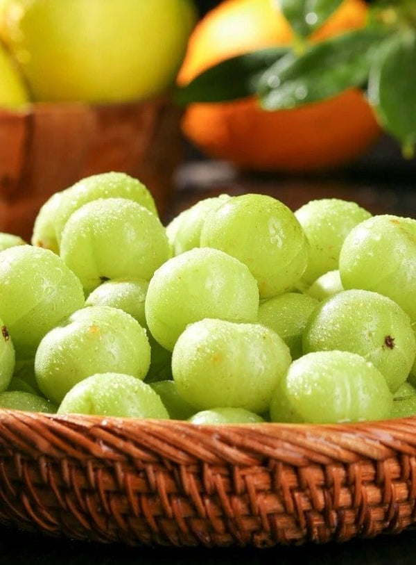 Fresh Amla (Indian Gooseberry) – Nature’s Superfruit
