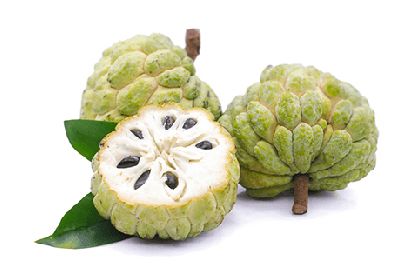 Fresh Custard Apple (Sitaphal / Sharifa)