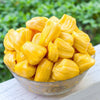 Fresh Jackfruit (Kathal)