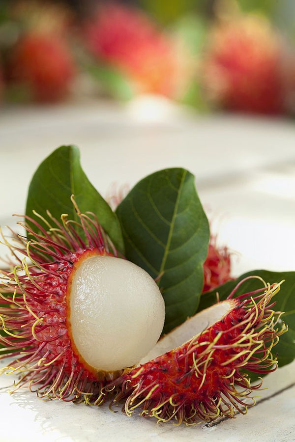 fresh Rambutan