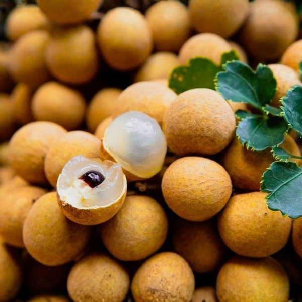 Fresh Longan fruit