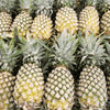 ORGANIC PINEAPPLE