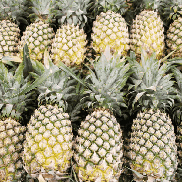 ORGANIC PINEAPPLE