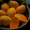 Seasonal fresh fruit photos list.
