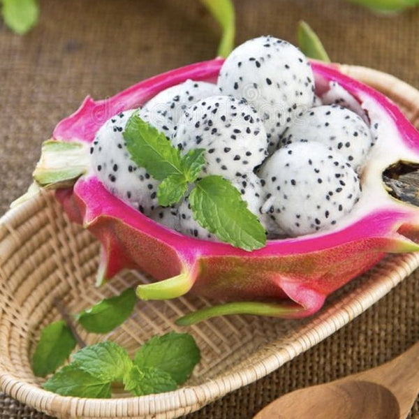 Exotic fruits photos list.