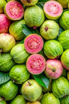 Fresh green guava