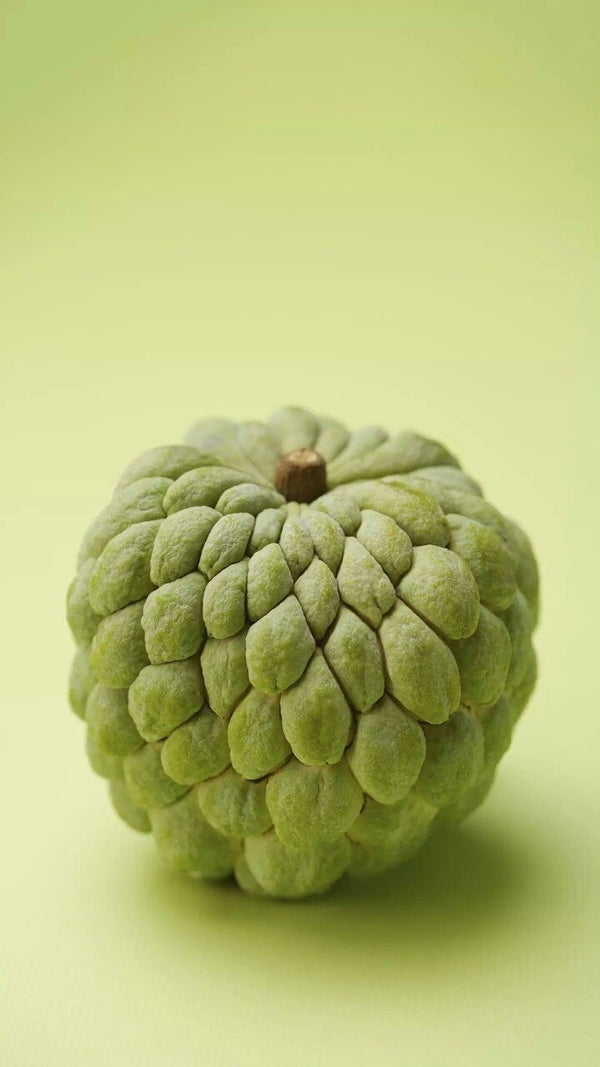 Fresh Custard Apple (Sitaphal / Sharifa)