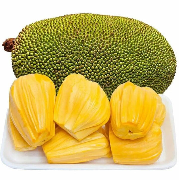 Fresh Jackfruit (Kathal)