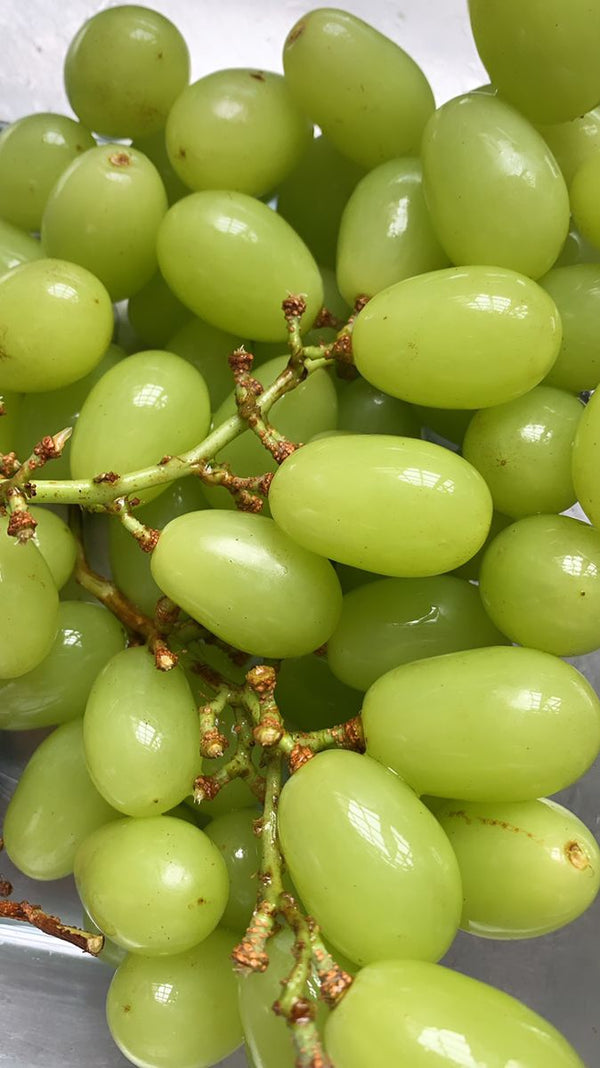 fresh green grapes