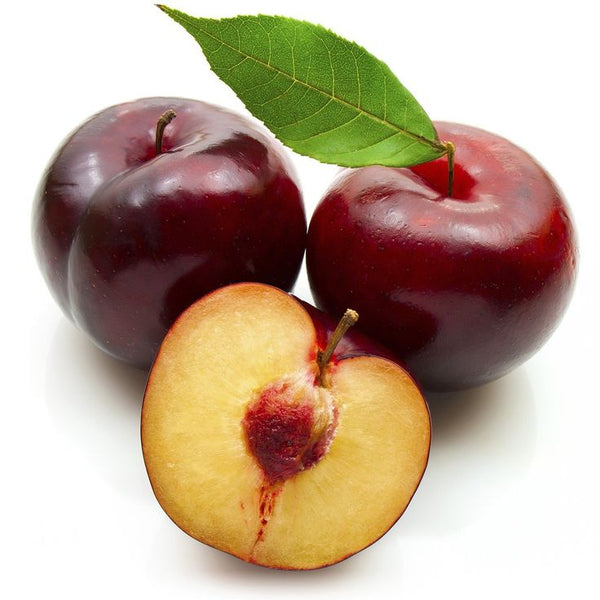 Fresh Purple Plums